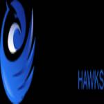 animation hawks profile picture