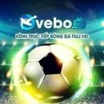 Vebo TV Profile Picture